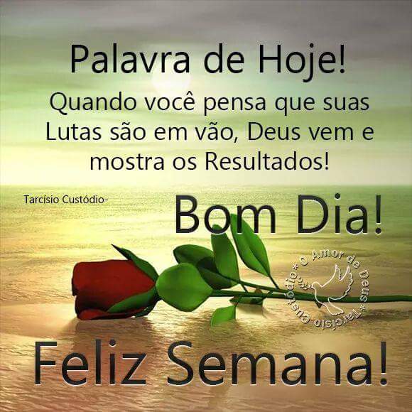 Bom dia
