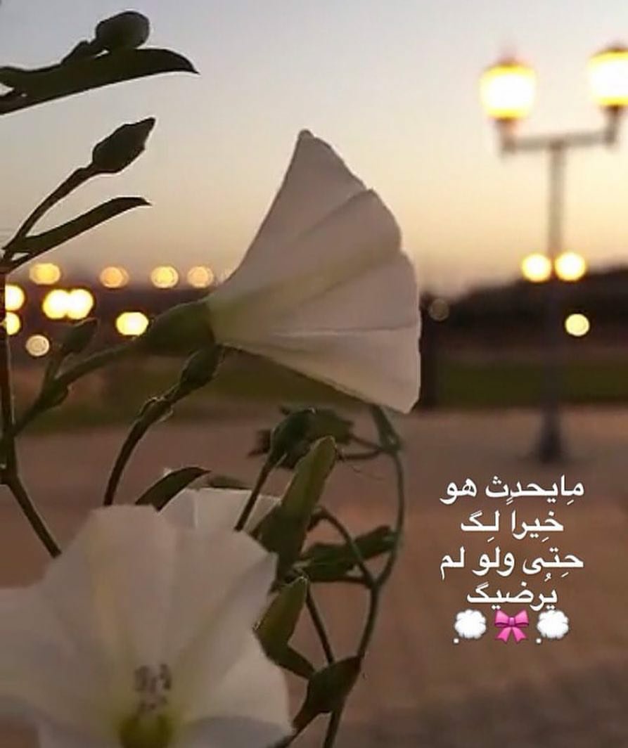 مساء اللّطف💍 
جاوِر وحاوِر من يفتحون في رُوحك نوافذ خضراء في كل مرّة من يقولون لك أنك تستطيع وأنّ في وسعِك أن تُضيء العالم 💎💌