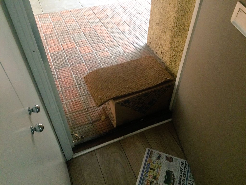 rosetarling's tweet photo. @goustocooking hid my delivery in a safe place #inconspicuous 😂😂 https://t.co/qdfd2dKrPw