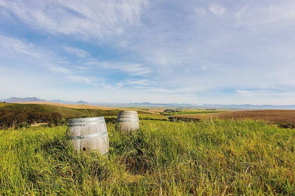 brucejackwines's tweet photo. Our barrels enjoying the open air 🌬 #TheDriftFarm #farm #freshair #overberg #barrel #wineb… https://t.co/fawim76eQD https://t.co/CMP5wJegGI