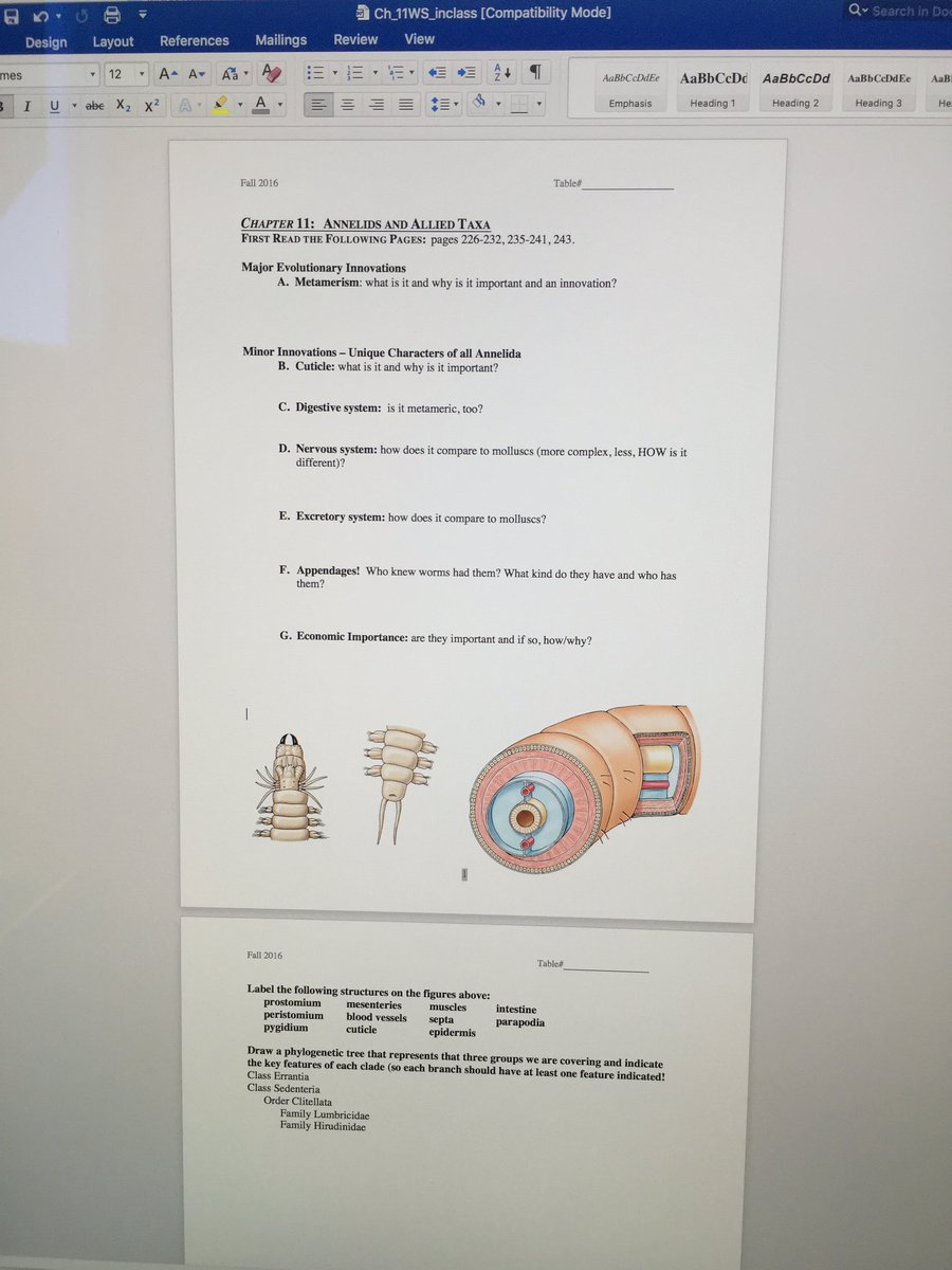 CMULizardLady's tweet photo. Trying out Anja Mueller's handout approach with my own tweaks! Fingers crossed for success. #cmuteal https://t.co/gXEaZK411I