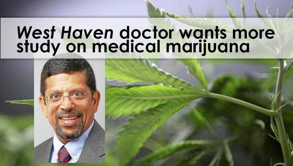 ctmmps's tweet photo. West Haven doctor wants more study on medical marijuana
https://t.co/Gs8JjPJMFd
 #theraplantct #advancedgrowlabs #ctpharma #curaleafct https://t.co/jaZGHvmL1R