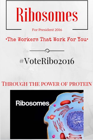 RuskiRibo2016's tweet photo. #cellection2016
#Ruskiforprez
#TheWorkersThatWorkForYou
#ThroughThePowerOfProtein
#VoteRibo2016 https://t.co/AyF0bzl7jC