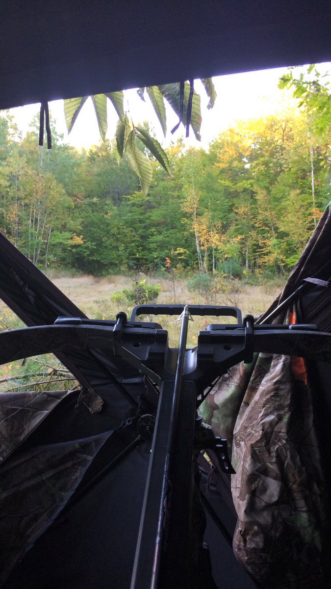 Tingo_89's tweet photo. Beautiful fall morning and my first day out deer hunting! Luck be with me!! #girlhunter #foresttotable #deerseason #doetag #parrysound https://t.co/ZU2RSM6Vmp