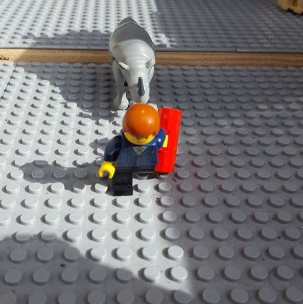 .<a href="/DevonDinoRhino/">Dino Rhino</a> <a href="/RedlerV1/">Victoria Redler</a> <a href="/GreatBigRhinos/">Great Big Rhinos</a> it's been great to have you, even if you chased all our #LEGO friends away...