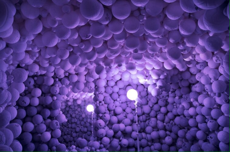 Charlotte Frances tweet media