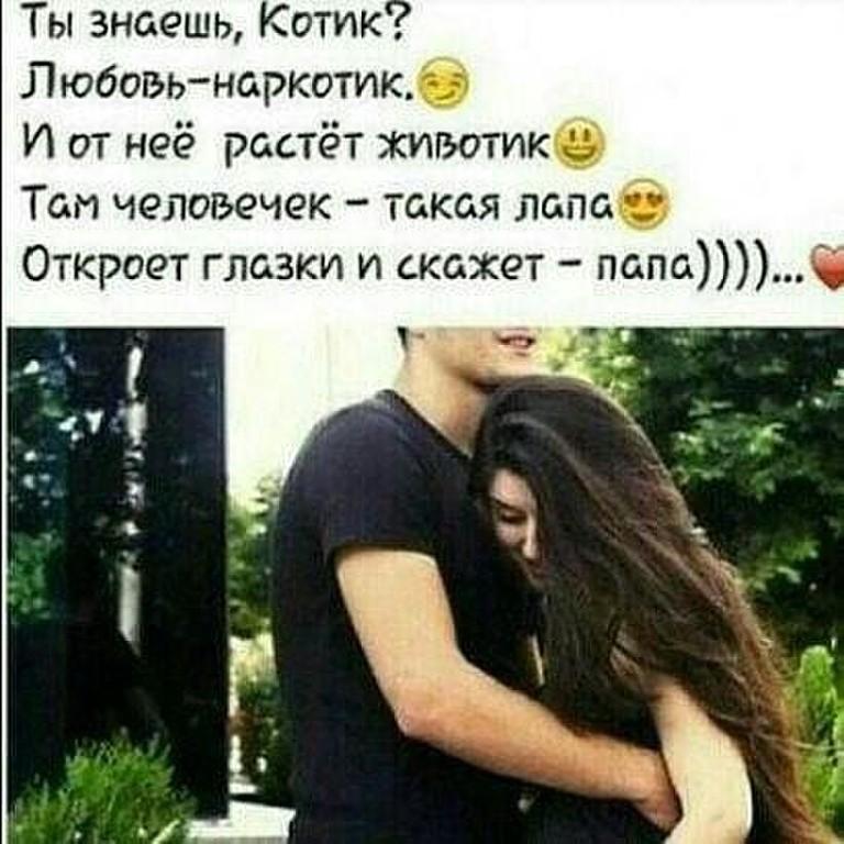 Мой милый котик любовь наркотик текст Мой милый котик любовь наркотик текст конопля делянки