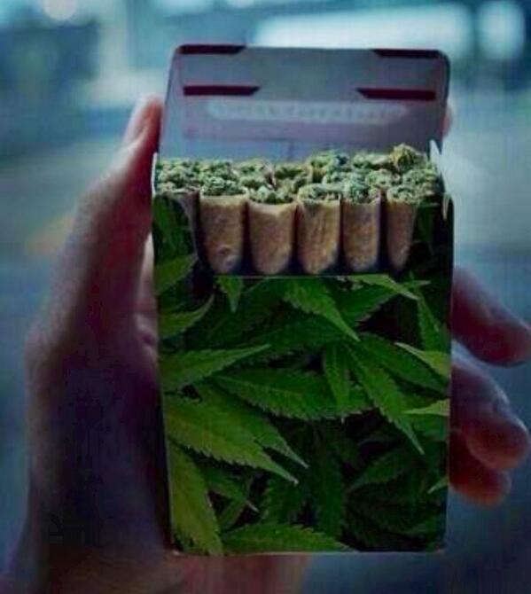CannabisTrainU's tweet photo. https://t.co/Ou7SIcoh38
