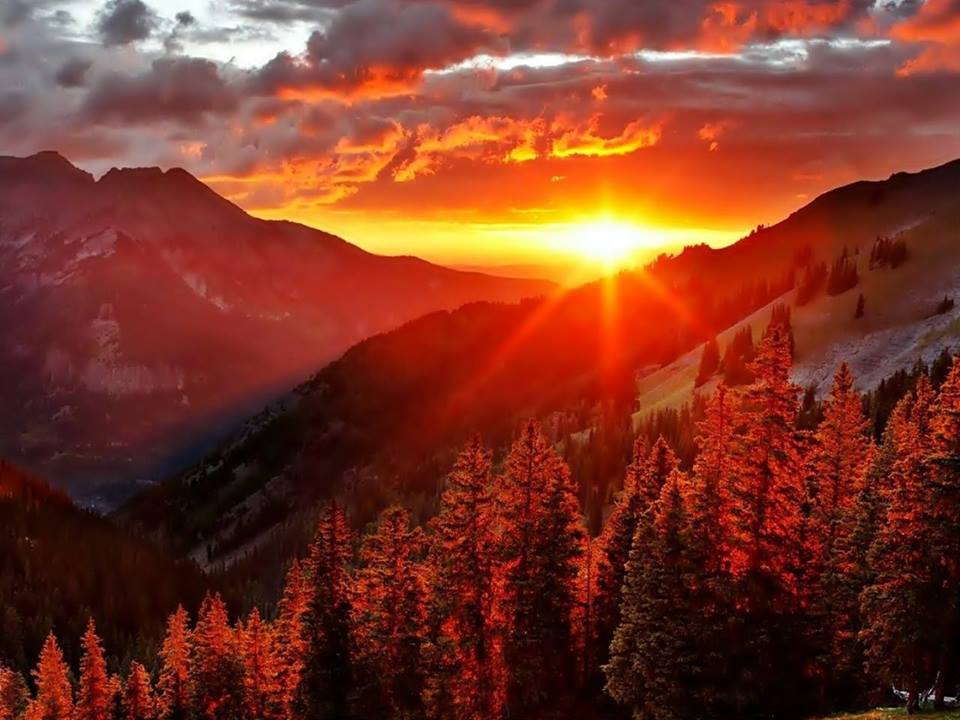 GOOD MORNING EVERYONE ~
new week .. new possibilities!
Enjoy your day my friends ☺