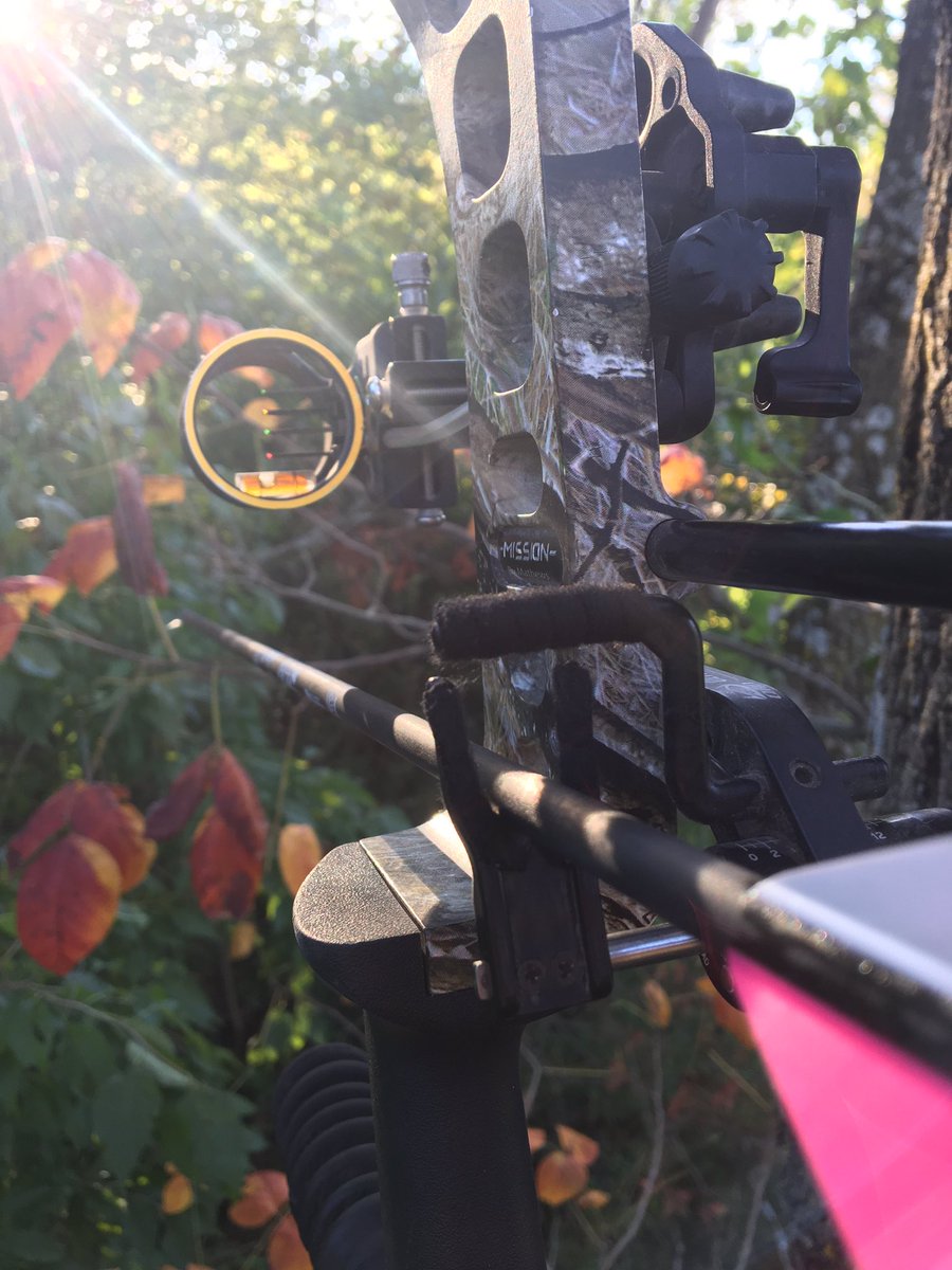 bthompson0706's tweet photo. It was the perfect evening to hunt yesterday @Mathews_Archery @MuzzyBroadheads @MuddyOutdoors https://t.co/kNiKD9P7BY
