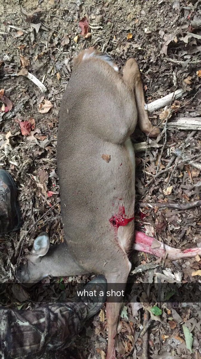 devin_cutshaw's tweet photo. finally got me a deer with my bow this morning https://t.co/NAEOgU3Gd7