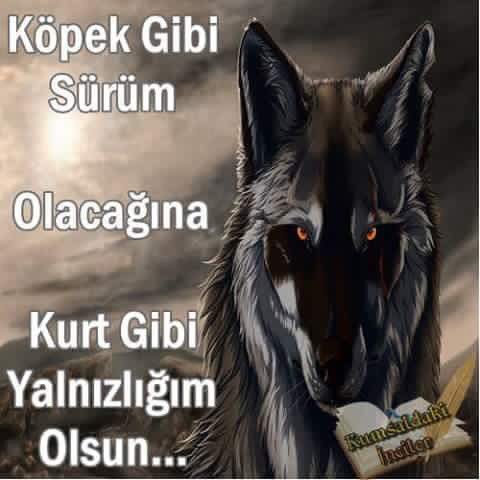 MUZAFFER KARABULUT (@7873muzaffer) on Twitter photo 