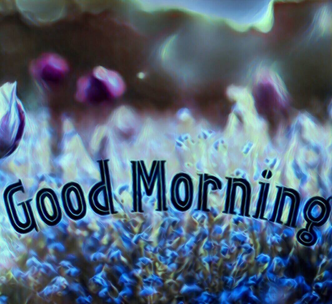 InstaGoodUs tweet media