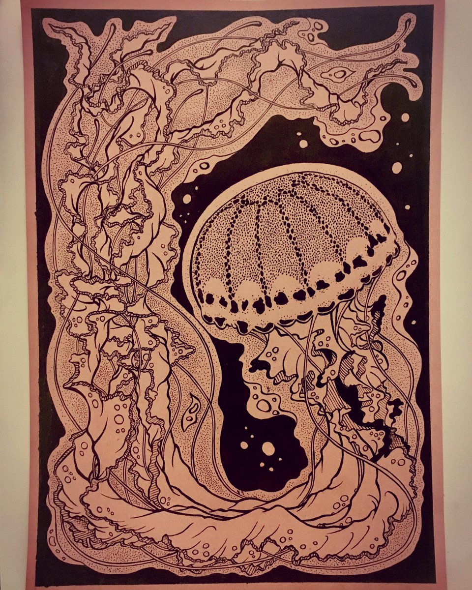 crayonsalad's tweet photo. For #day09 &amp; #day10 of #INKtober there is a #jellyfish #drawing :) #medusa #meduza #inktober2016 #ink #dippen #crayonsalad @artistsnetwork https://t.co/5zdu6qRSeG