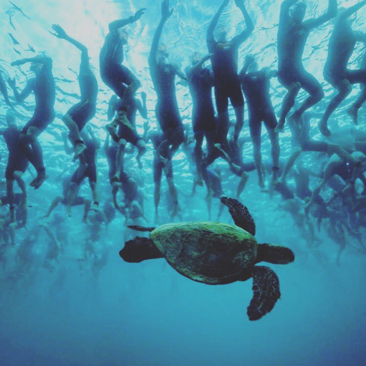 Great photo of <a href="/ironmantri/">IRONMAN Triathlon</a> #kona #ironman #ironmantri #swimming
