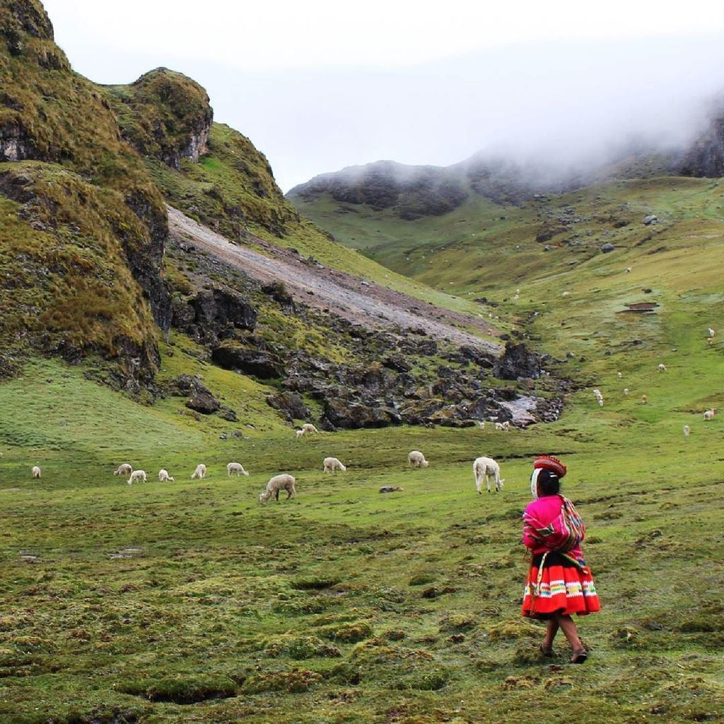 Awamaki's tweet photo. Happy Indigenous Peoples' Day from everyone at #Awamaki!
#indigenouspeoplesday #peru #quechua https://t.co/FZMUjQJ9FQ
