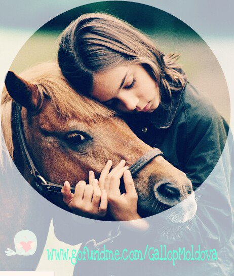 Support children with mental disabilities in Moldova to be healed by the love of a horse! Gallop Moldova Center Project brings more light!
