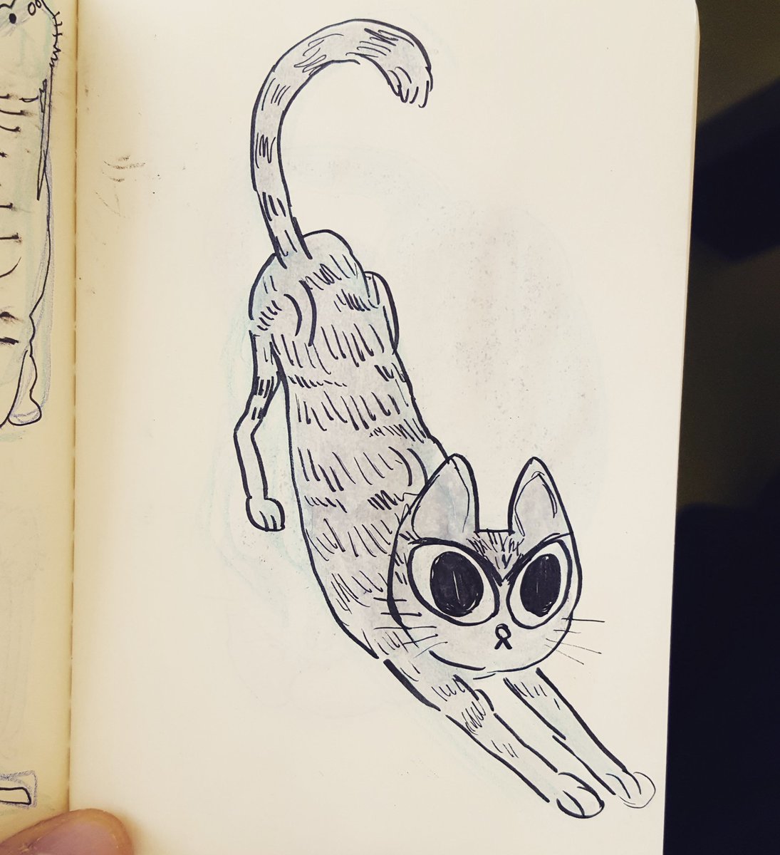 pokey 