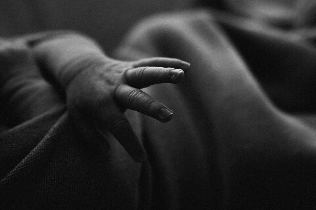 kristencook's tweet photo. Movement. Breath. Purpose. You are. #kristencook #kristencooknewborn https://t.co/nIt94OzZBD