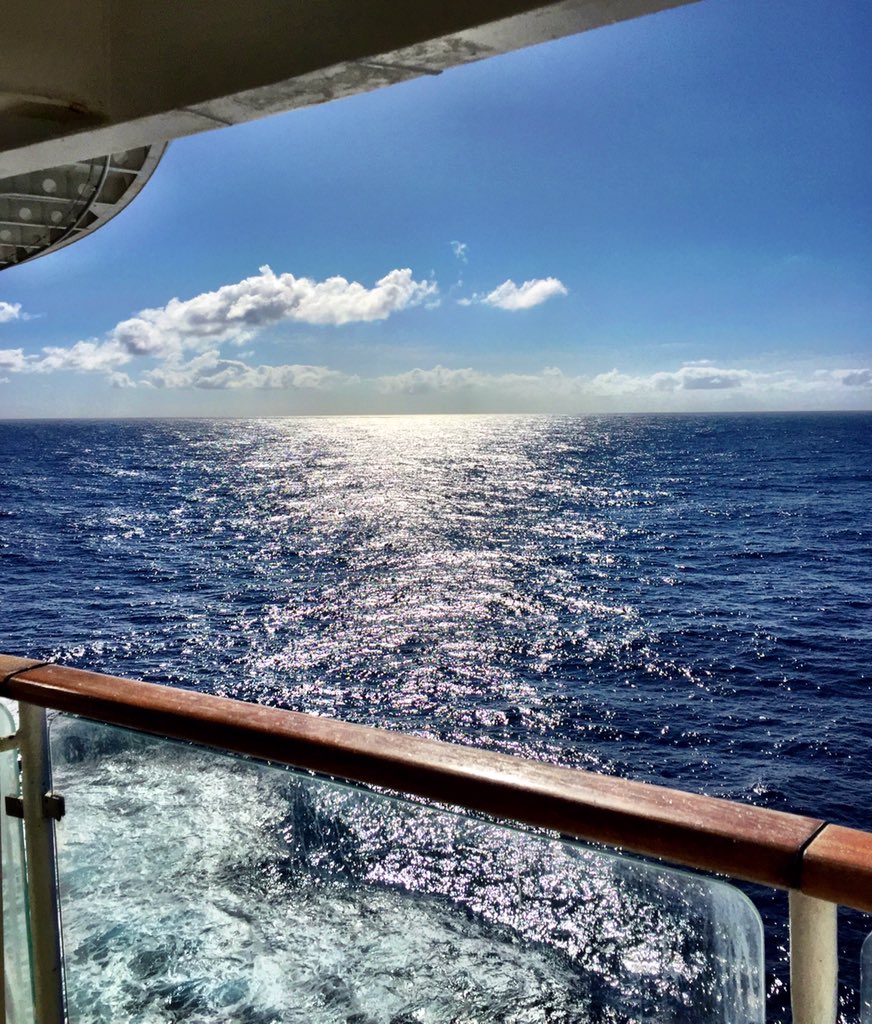 LionsDi's tweet photo. @KimmerLions Oh my Kimmy!! Is it a work day?? Hope it's all smooth sailing ahead... #somewhereinthepacific #RadianceoftheSeas https://t.co/LoearYu6QZ