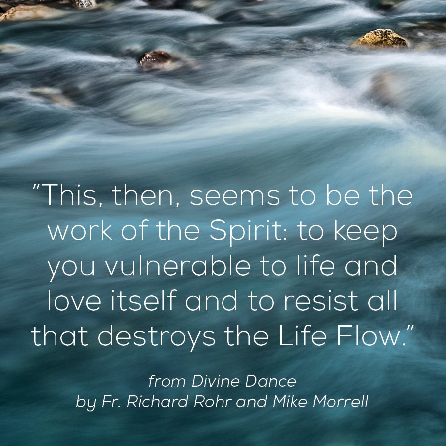 BreneBrown's tweet image. Thank you @zoecarnate and @RichardRohrOFM for your amazing new book - The Divine Dance. This took my breath away.