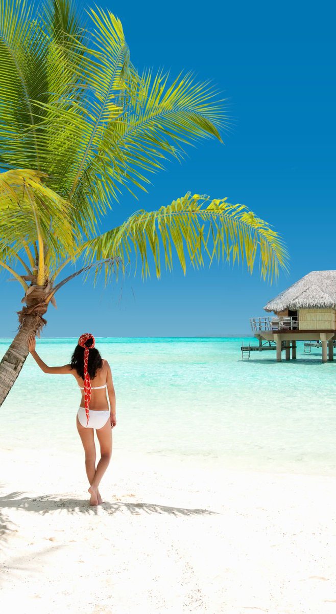 TCAirlinesUK's tweet photo. Where is hot in December? 🌞 Find out where to go for sun whatever month you're going https://t.co/Yt4aZoWN1p 🌞 https://t.co/27e4gATREl