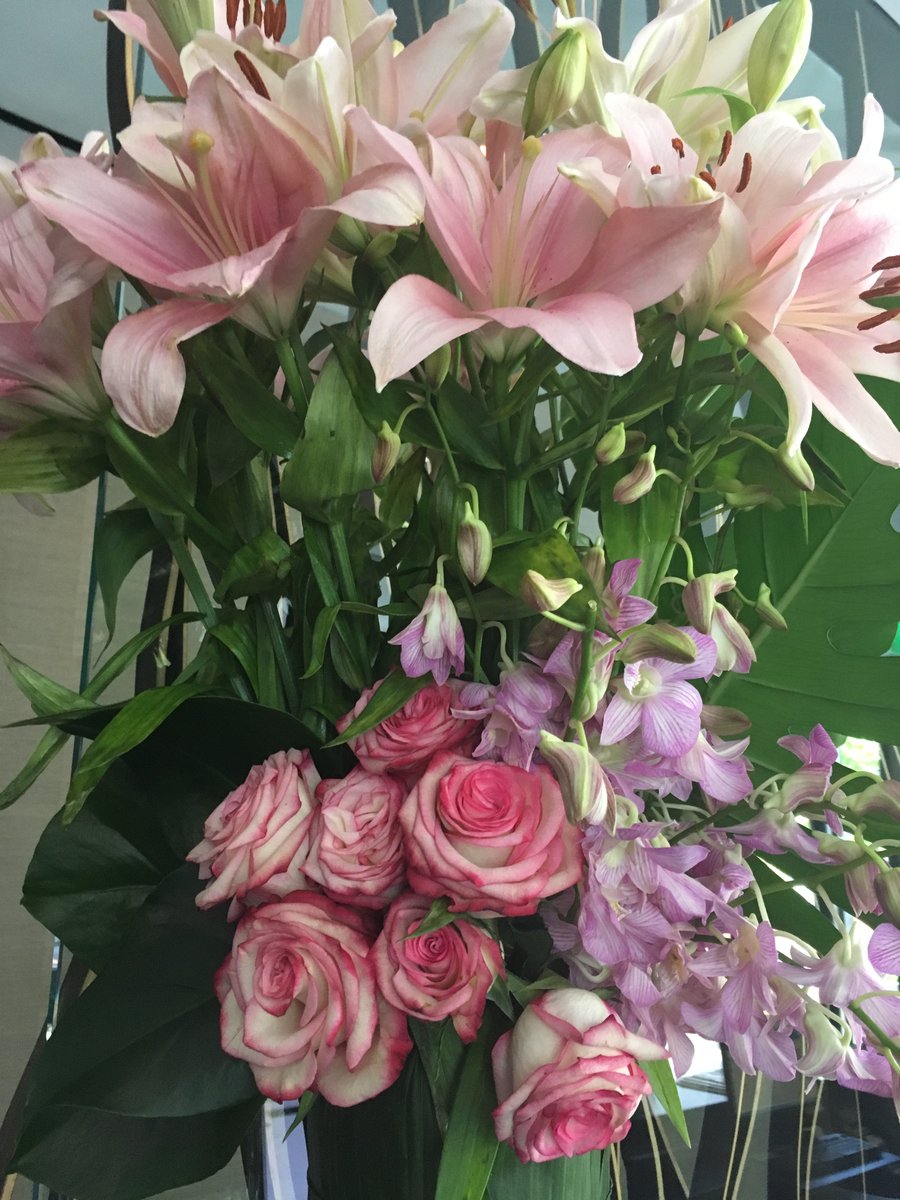 SoSpaSofitelLA's tweet photo. Because beautiful blooms make everything seem a little bit brighter. #HappyMonday #SoSPA #BeverlyHills https://t.co/KUOki5Bt8E