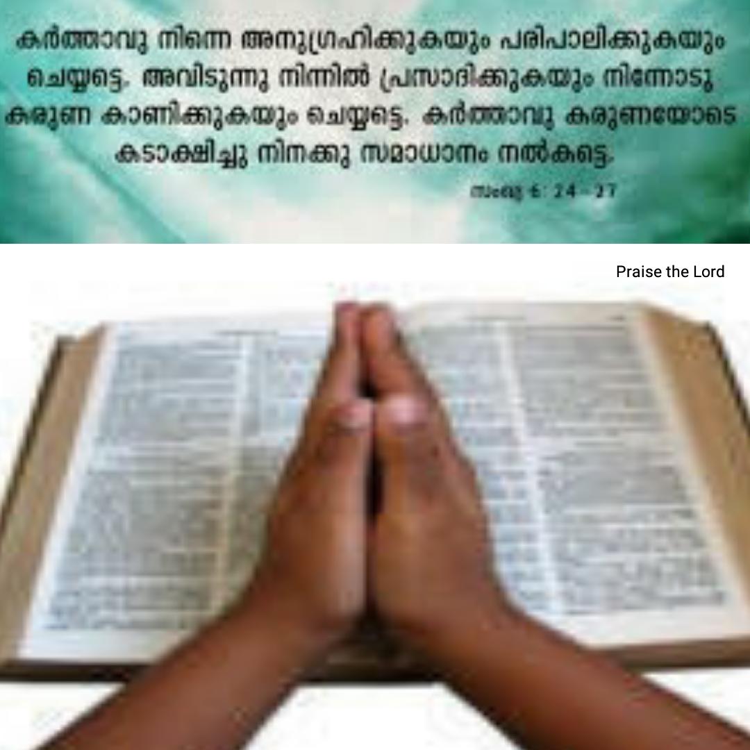 binoare tweet picture