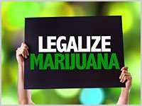 MedicinalMJDoc's tweet photo. .@NORML’s #Legislative Round Up September 23rd, 2016 https://t.co/Xxjn6irUgb #marijuanalegalization #election2016 #marijuana #cannabis https://t.co/7lmmyHpQwk