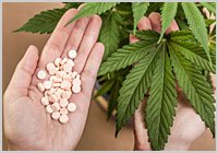 MedicinalMJDoc's tweet photo. .@NORML’s #Legislative Round Up September 23rd, 2016 https://t.co/Xxjn6irUgb #marijuanalegalization #election2016 #marijuana #cannabis https://t.co/7lmmyHpQwk