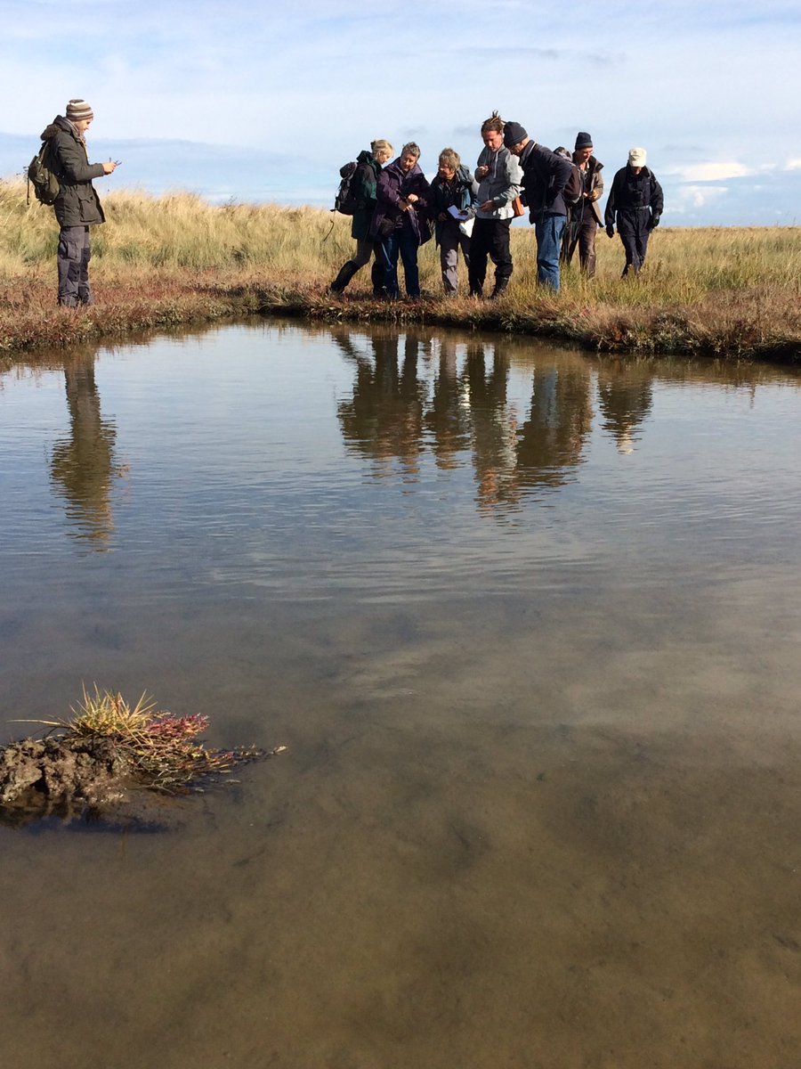 Last Kent Botanical Recording Group 2016 meeting to Shellness, Sheppey looking at saltmarsh plants. <a href="/BSBIbotany/">BSBI: Botanical Society of Britain & Ireland</a> <a href="/LliamRooney/">Botany Bill</a> <a href="/LemonStephen/">Stephen Lemon</a>