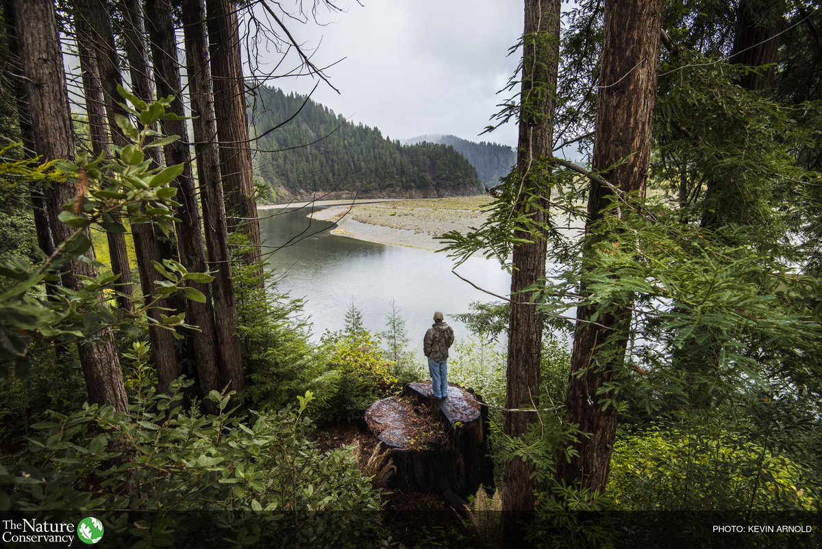 The Nature Conservancy tweet media