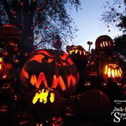 FallNewEngland's tweet image. WIN a Family 4-Pack of tickets to  Roger Williams Zoo's Jack o' Lantern Spectacular in RI this October! Enter at NewEnglandFallEvents.com