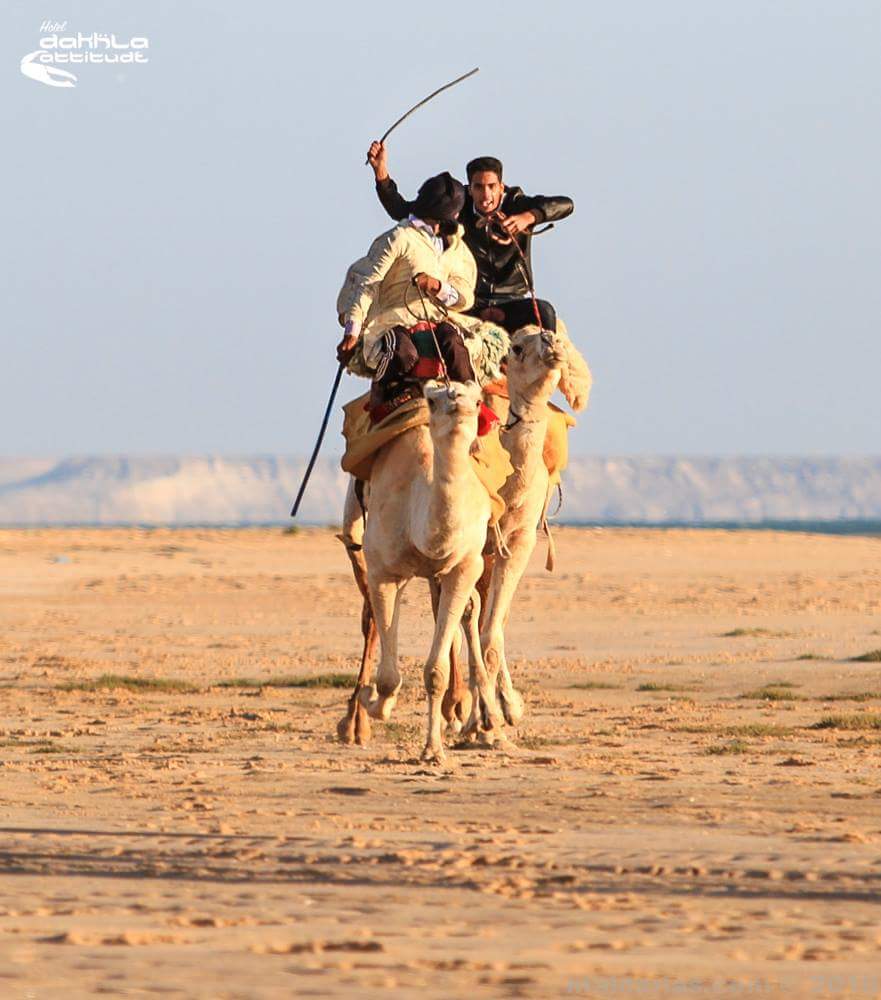 mntlaayon's tweet photo. #الصحراء_المغربية
#شاطئ_الداخلة
#الداخلة
#dakhla
 #ماذا_تعرف_عن_المغرب https://t.co/l6NU9HZtVQ