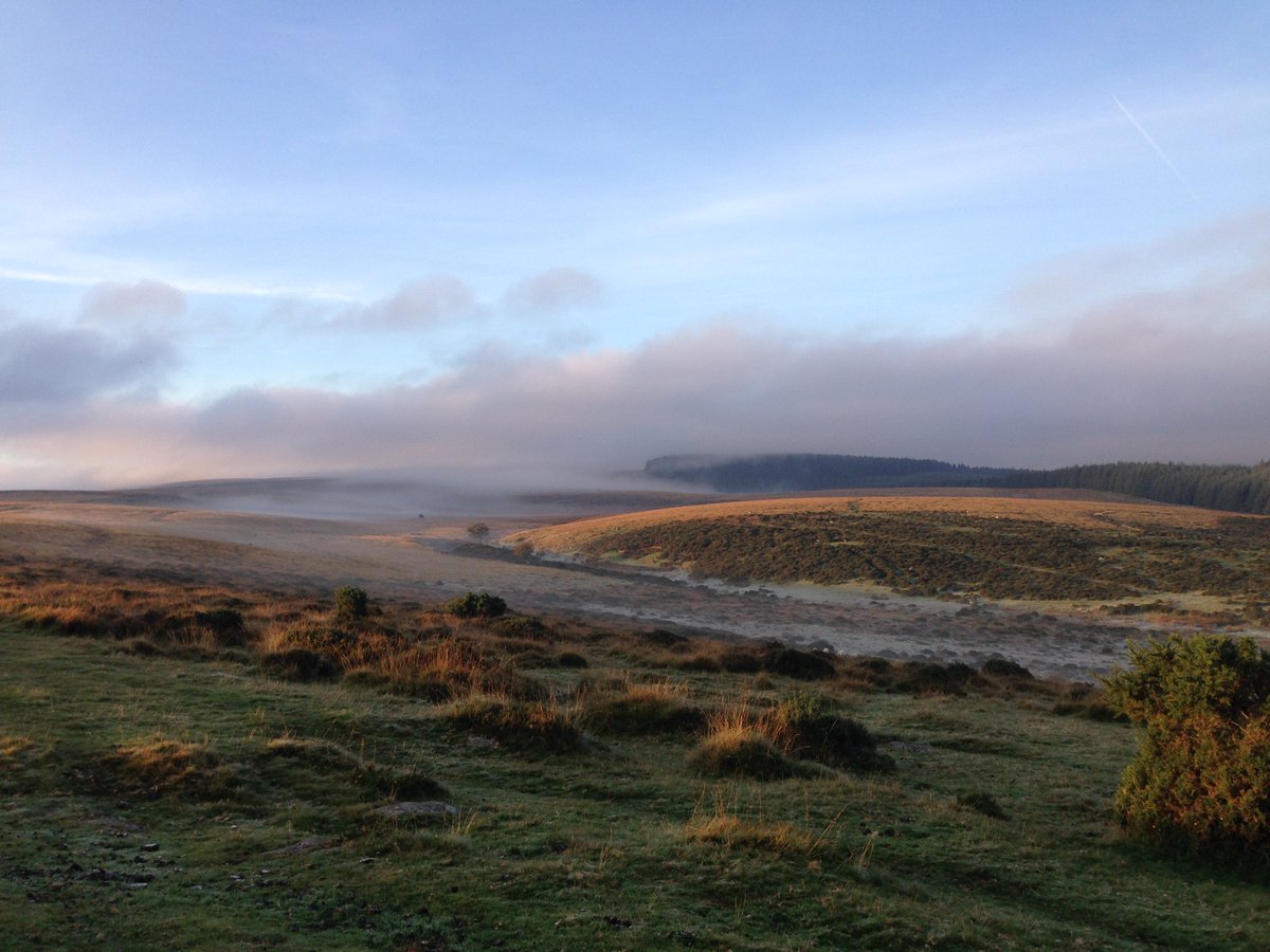 Think Project tweet media