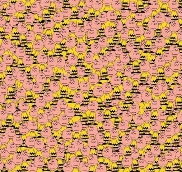 Pokemon_Days's tweet photo. Retweet if you find Pikachu⚡️ https://t.co/5HHcRmD2rx