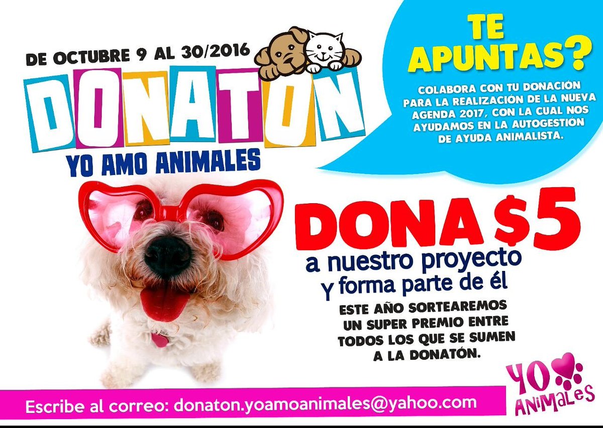 yoamoanimales's tweet photo. Arrancamos con #Donaton2016 donde tú mascota será parte de nuestra agenda 2017! https://t.co/R8wnwbuNXz