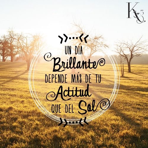 K5Store's tweet photo. #EsteLunesMePropongo tener toda la actitud para hacer realidad mis sueños. #K5 
#FelizLunes ❤️ https://t.co/OhZVJIctY2