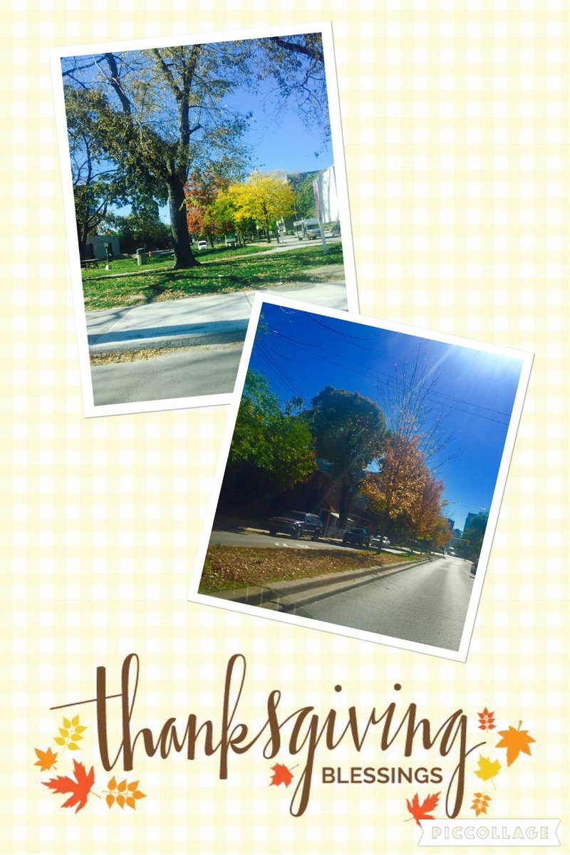alc_millar's tweet photo. Happy Thanksgiving!! https://t.co/bjC9btGWAQ