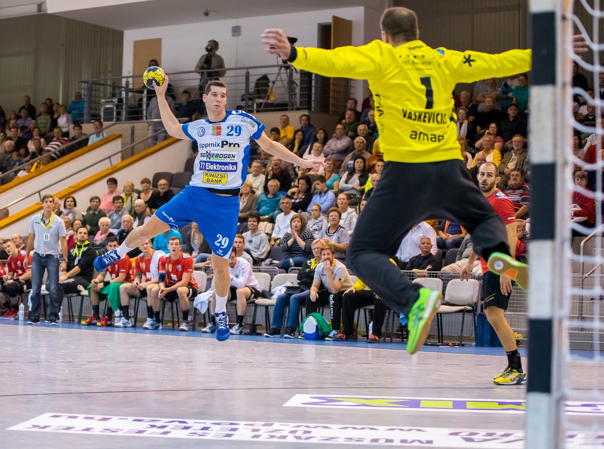 EHF_Activities tweet picture