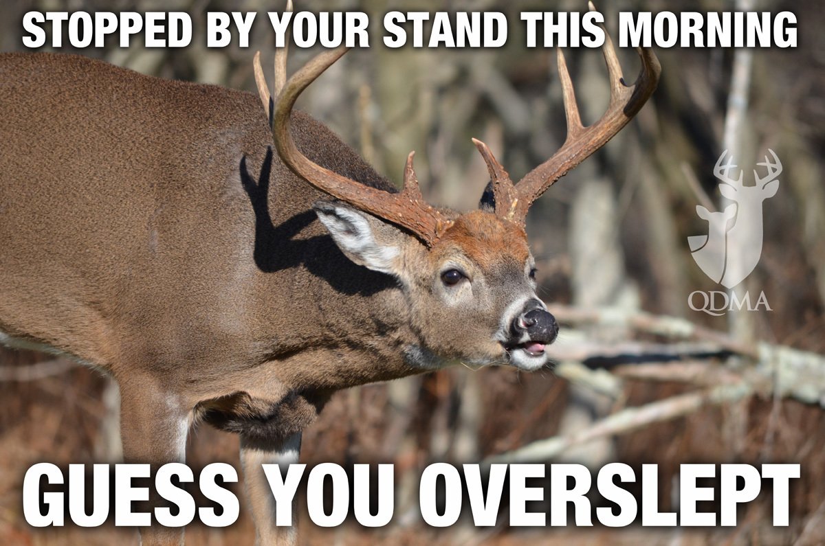 deerassociation's tweet photo. Are we the only ones who sit at work wondering what's walking by our deer stands today? #AlwaysThinkingAboutDeer https://t.co/dyWpyKSek6