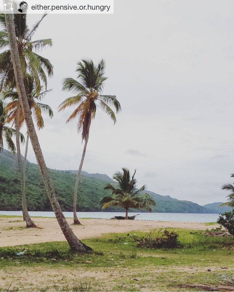 BeachUpRD's tweet photo. Want to guess which beach is our Top 2 option to go camping? Check our #Instagram! https://t.co/xtgKymfRUD