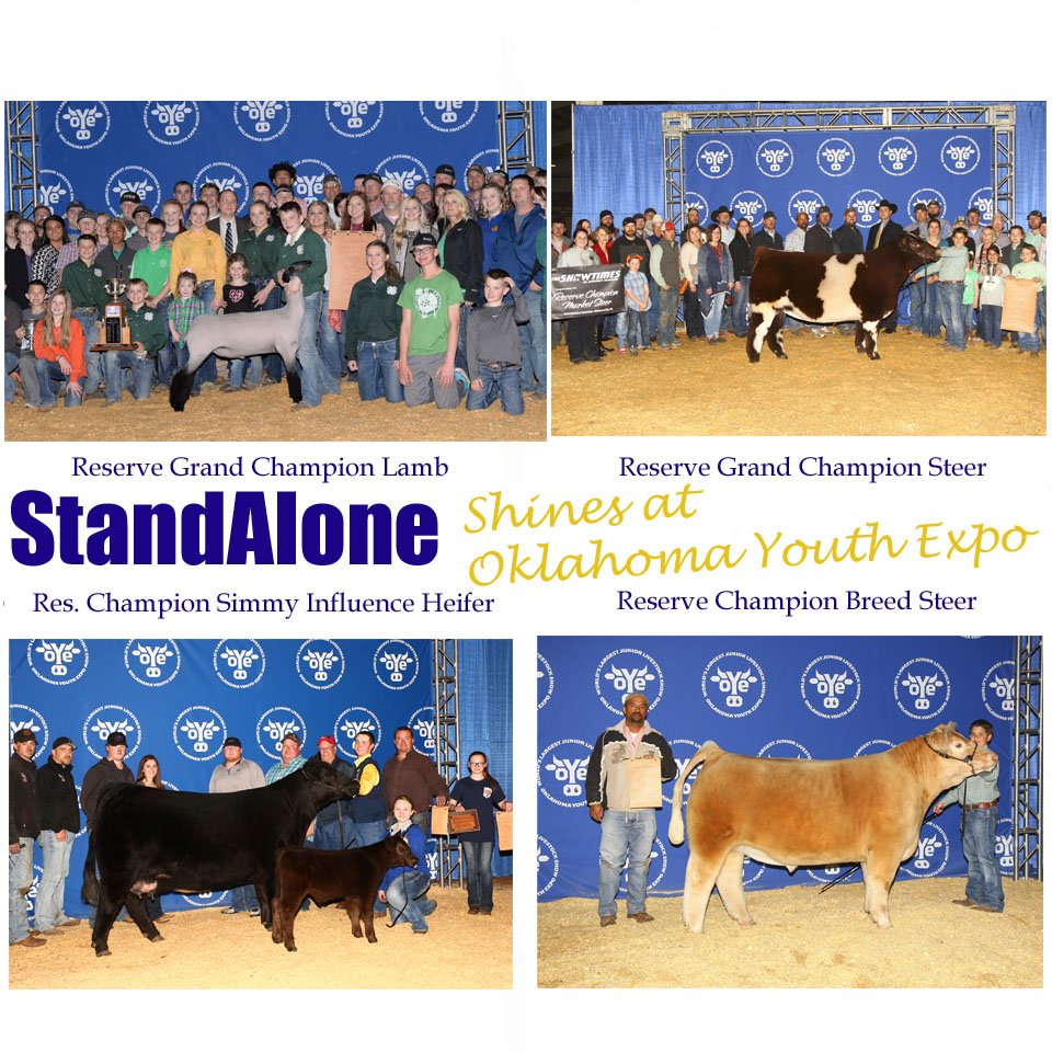 StandAloneFeed's tweet photo. Congratulations @StandAloneFeed customers @OKYouthExpo this past Spring. #championsstandalone https://t.co/IpjdKIImGE