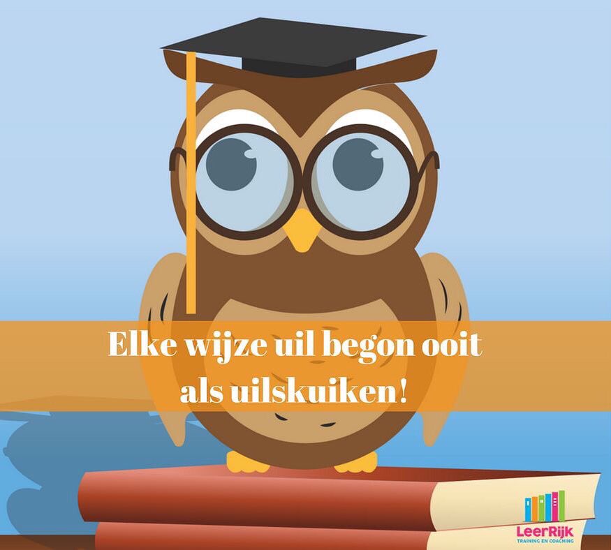LeerRijk013's tweet photo. Elke wijze uil begon ooit als uilskuiken! #quote #growthmindset https://t.co/xTWbwu7mUv