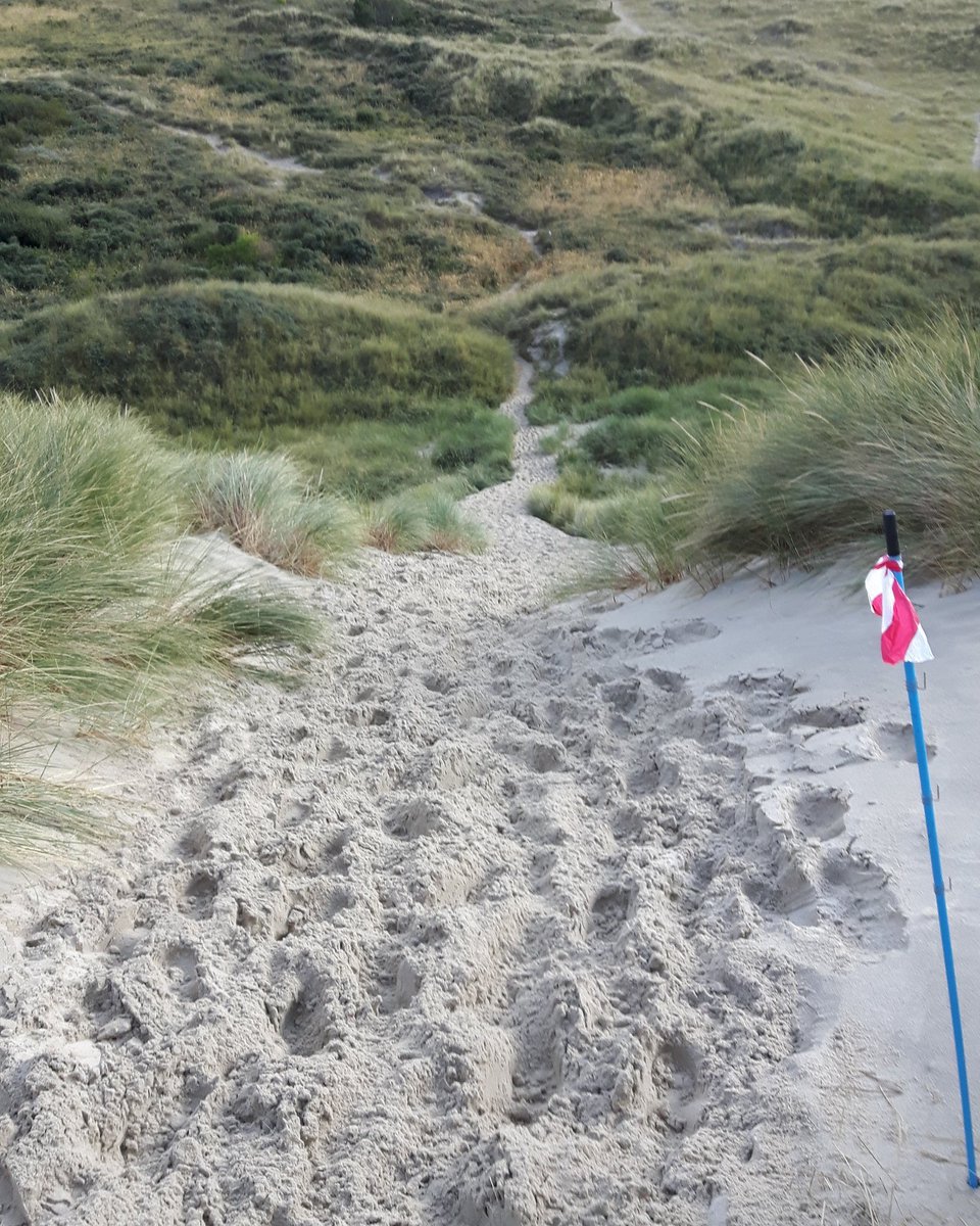 FCGGroundhopper's tweet photo. 15km @TrailrunTS. @MudSweatTrails @loopmaatjes  @looppassie https://t.co/T6JA2056gf