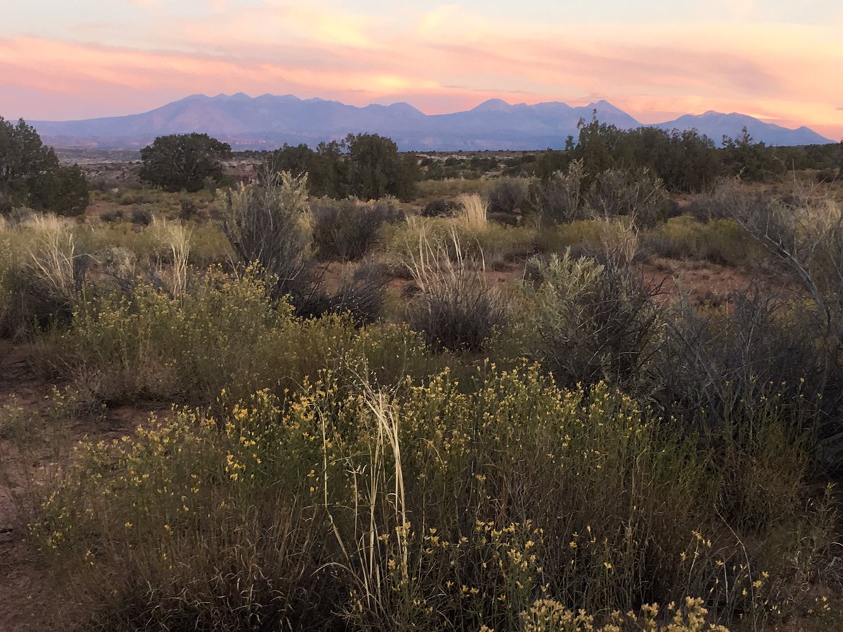 A perfectly still fall evening overlooking the La Sal Mtns. I'm already feeling privileged to call Utah home. #iphone6dited #adobeLRMobile