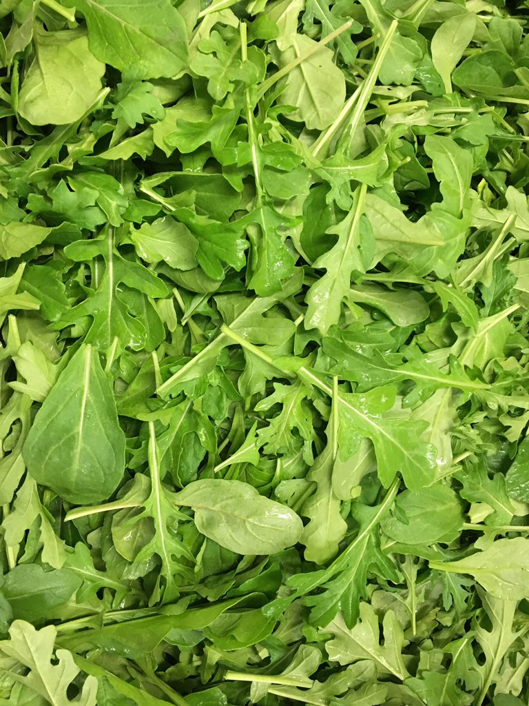 ScarboroughFarm's tweet photo. #ScarboroughFarms #locallygrown Yukina Savoy, Mixed Arugula, Pepper Cress https://t.co/e1r567YWGq