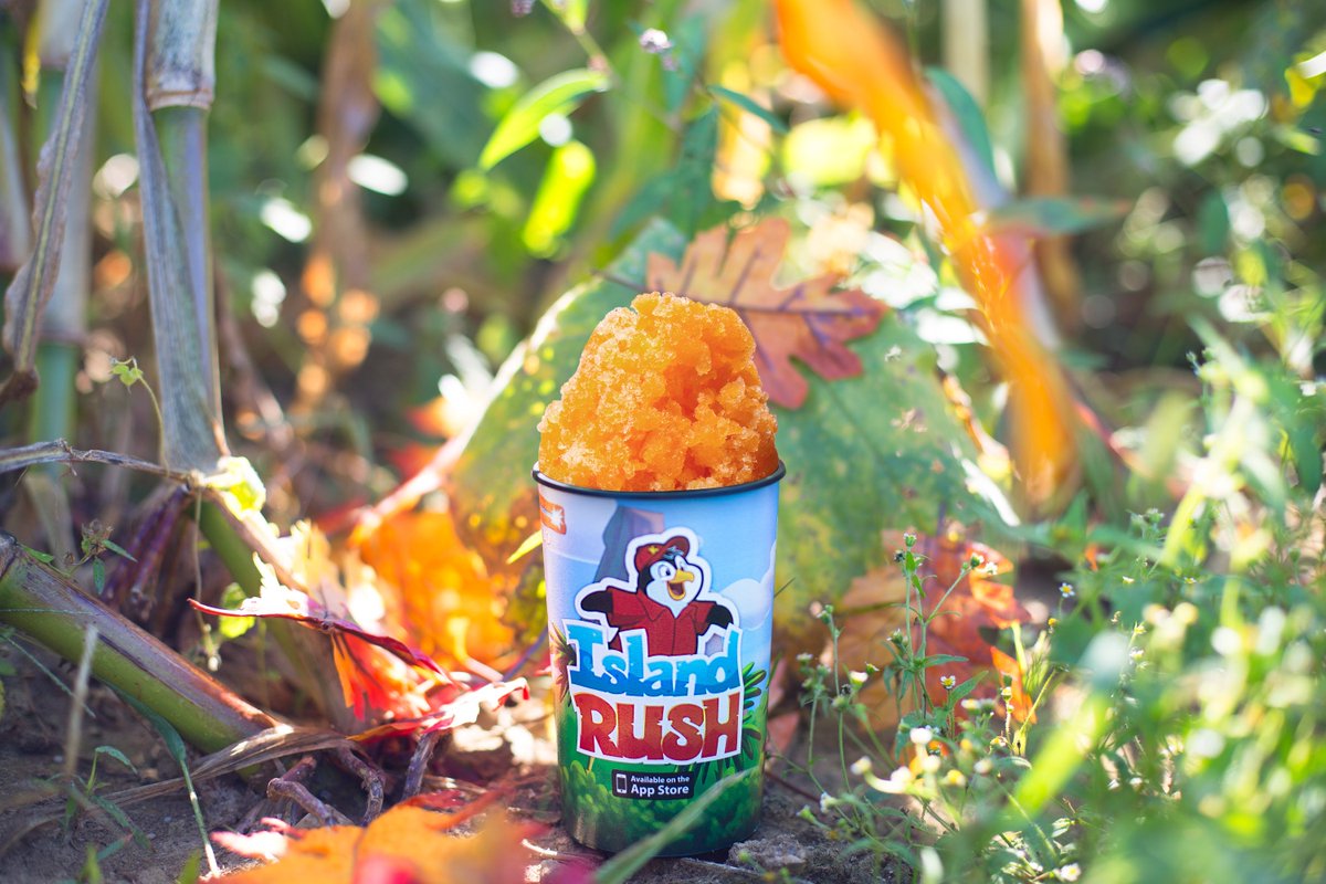 KONAICE's tweet photo. Fall is in the air. https://t.co/b421LDr5CD