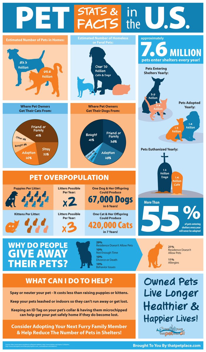 Pets We Heart tweet media