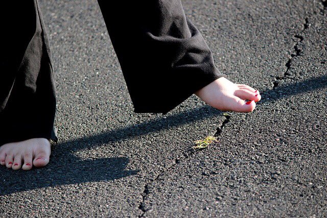 Mom: Make America Great Again!

Me: